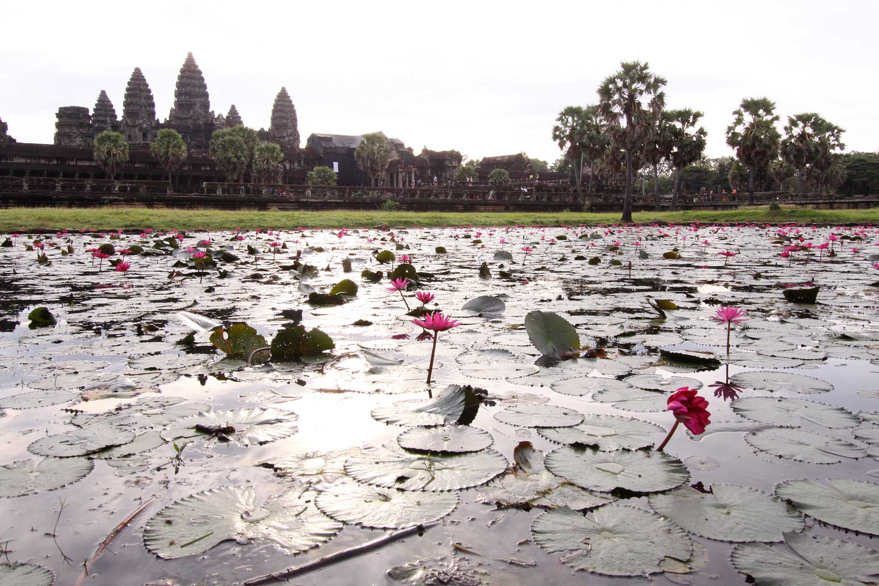 issue_02_cambodia