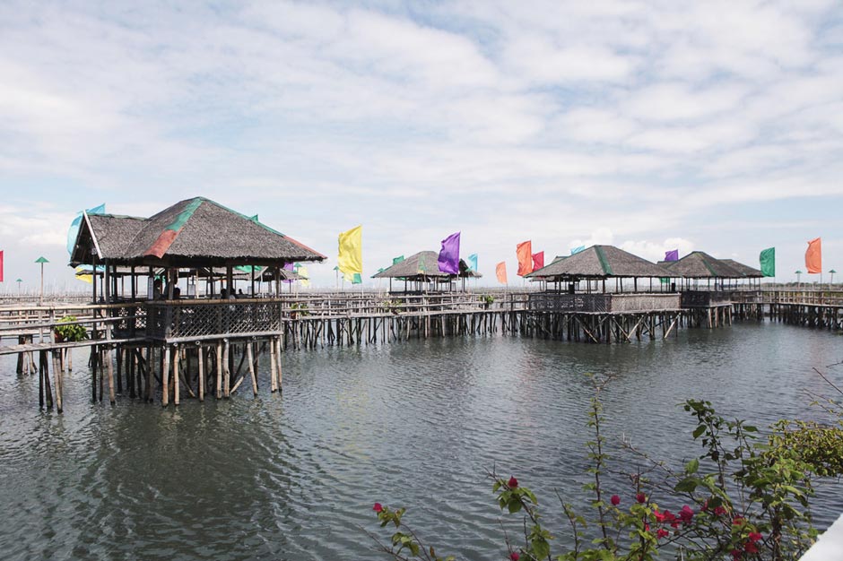 Island Cove for Murphy Report