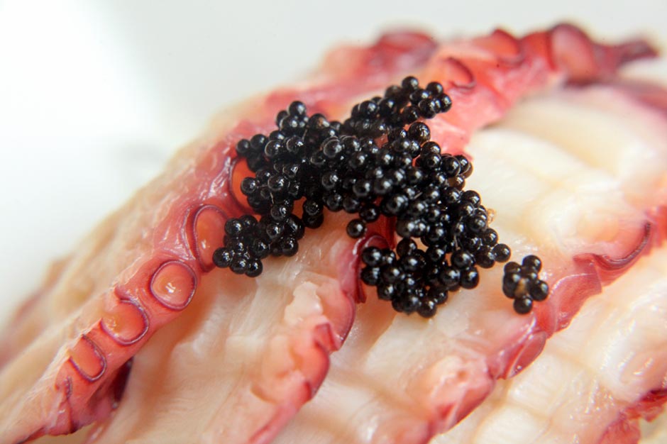 Kiwa Korean Grill for Murphy Report