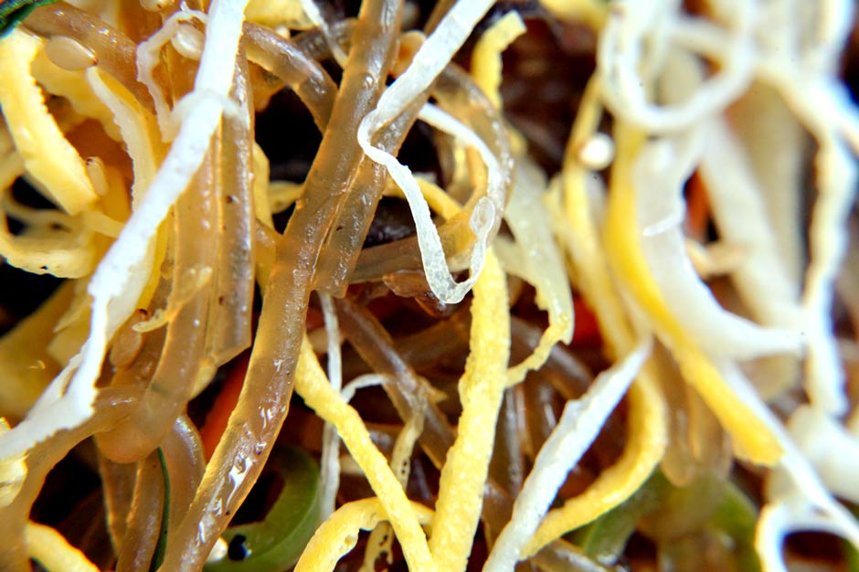 Kiwa Korean Grill for Murphy Report